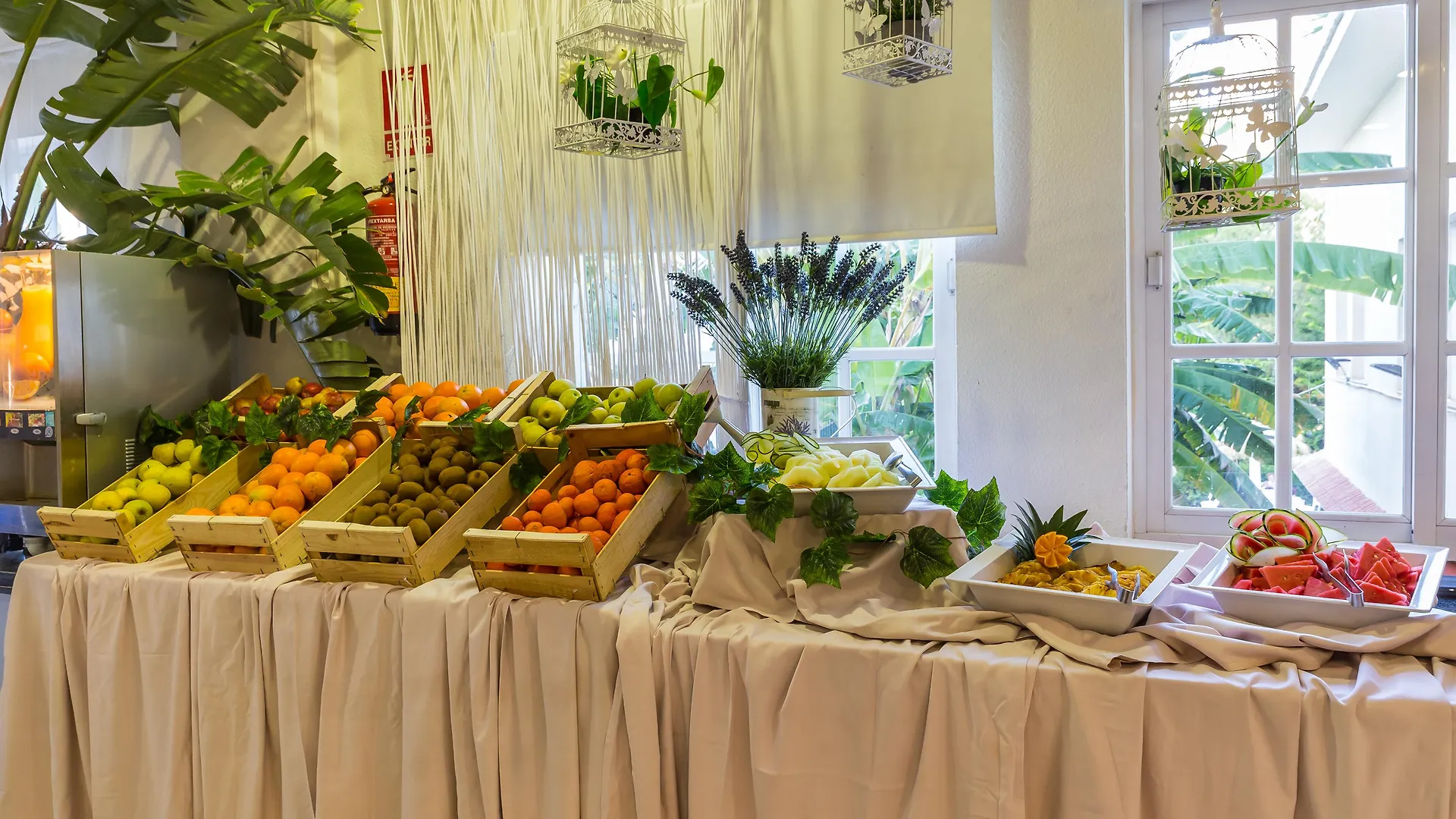 Aluasun Costa Park Hotel Torremolinos